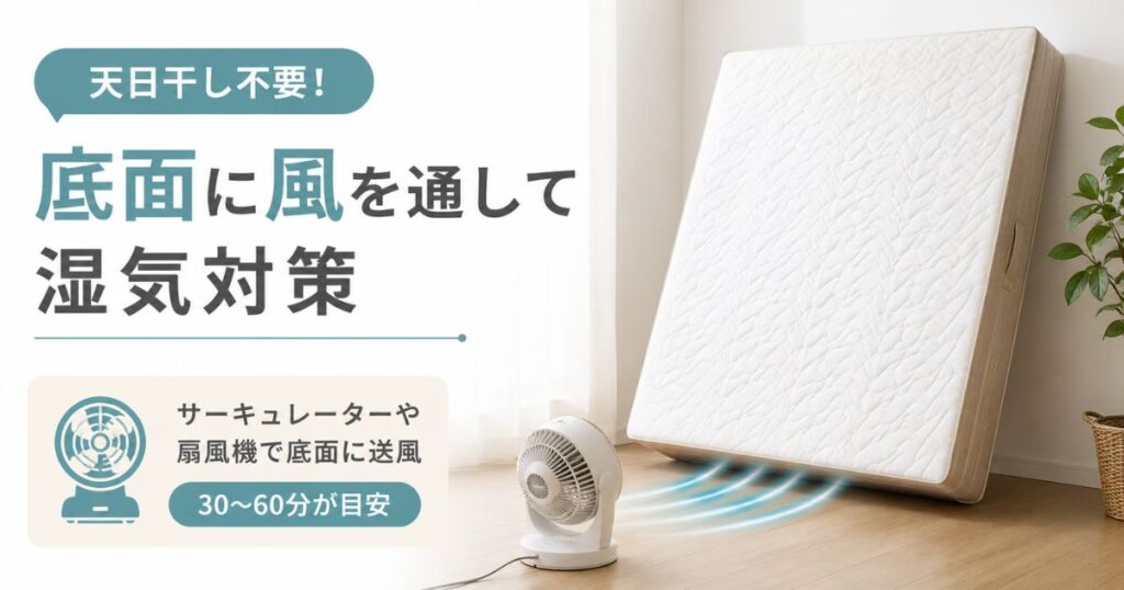 コアラマットレスを壁に立てかけてサーキュレーターで底面に送風し湿気対策する様子