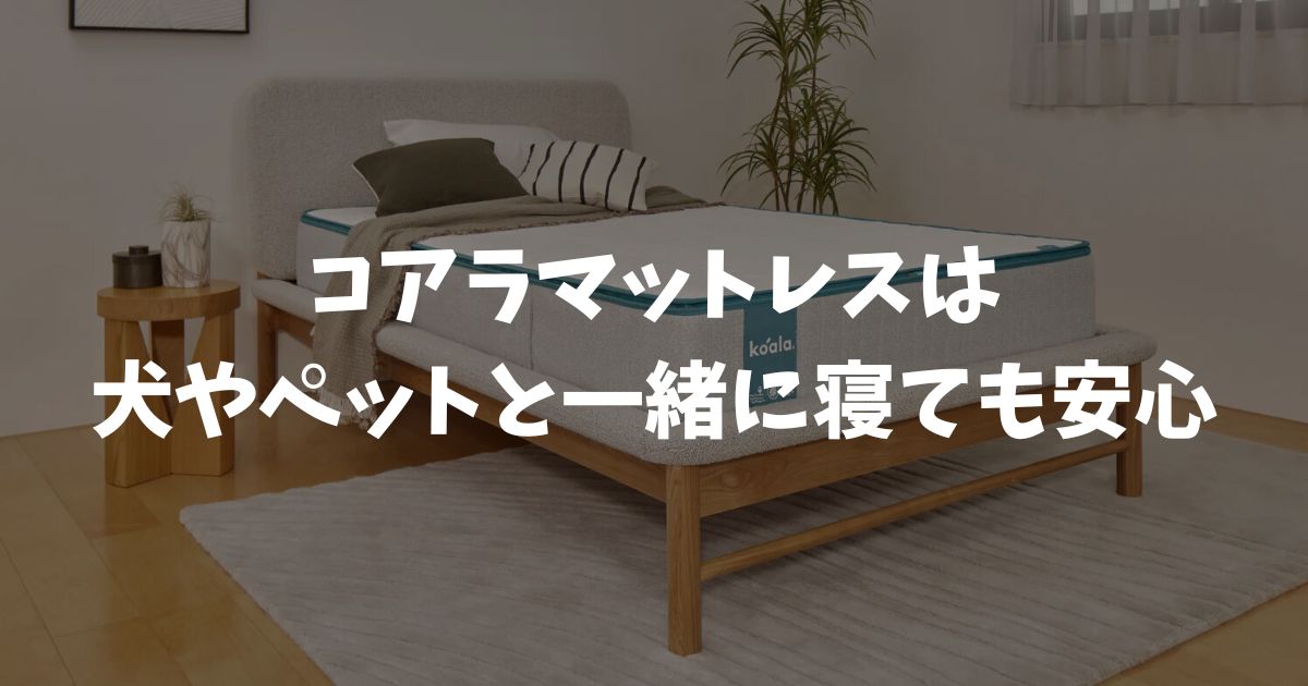コアラマットレスは犬と一緒に寝ても大丈夫？ペットの粗相対策と愛犬用ベッドも紹介