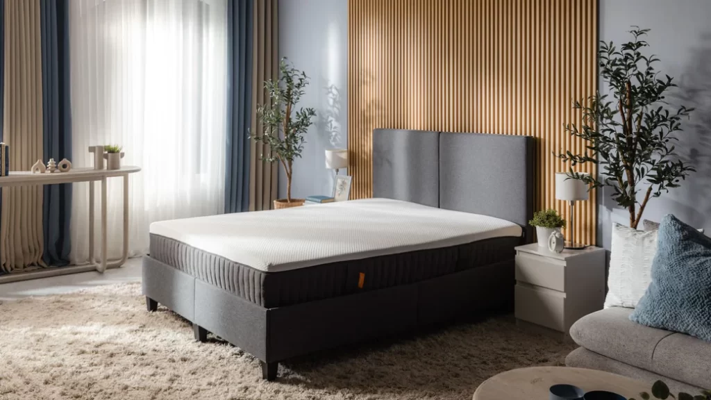 エマ・プレミアム V2｜エマスリープ