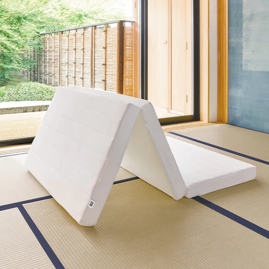 エアウィーヴ スマート Z01