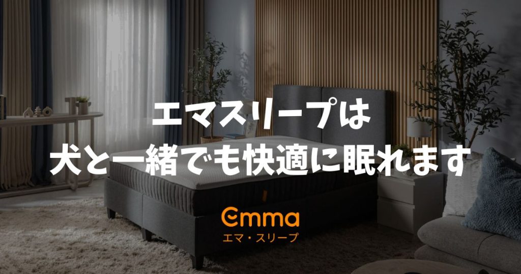 エマスリープで犬と寝ても大丈夫！プロテクターで粗相や爪対策すれば愛犬と一緒に眠れます