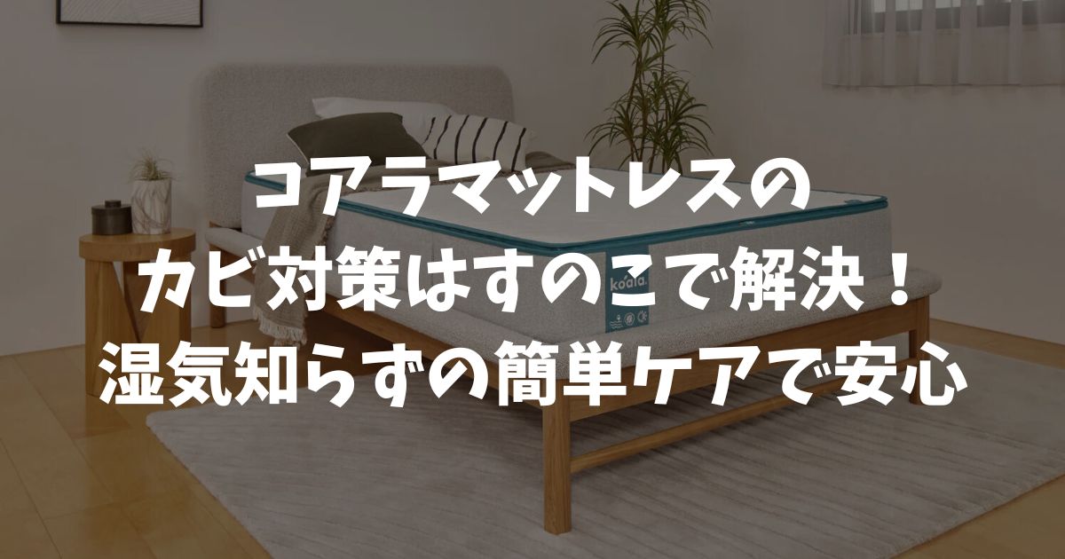コアラマットレスのカビ対策はすのこで解決！湿気知らずの簡単ケアと返品保証を守る秘訣