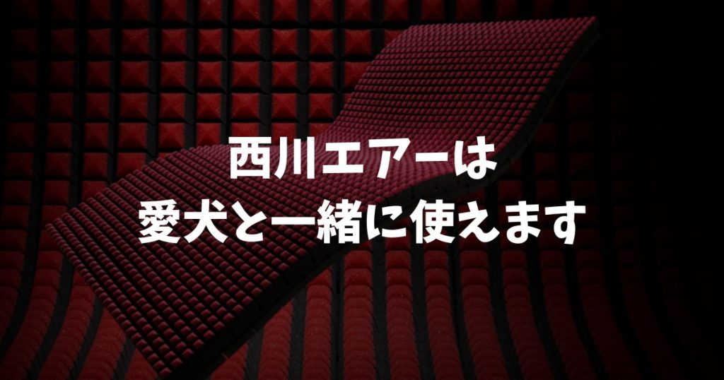 西川エアーは犬と一緒に寝ても大丈夫？おしっこ・爪の傷を防ぐ対策まとめ