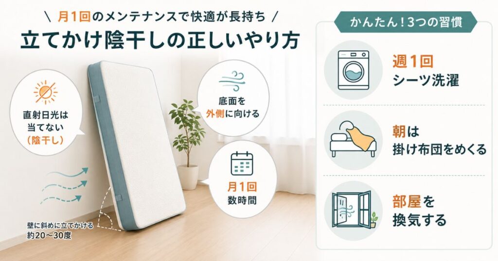 コアラマットレスを壁に立てかけて陰干しする方法と月1回の湿気対策メンテナンス手順